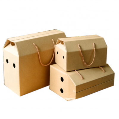 White Small Corrugated Carton Paper Box,Custom Carton Packaging Box